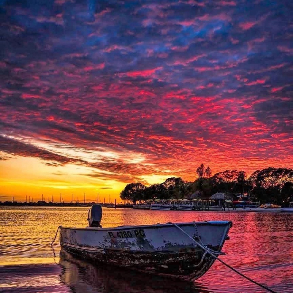 Meet your Posher, Ricci